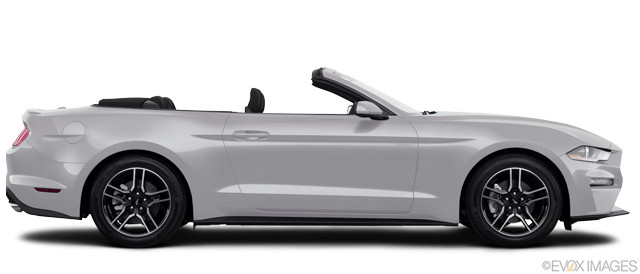 Image 2019 Ford Mustang #166