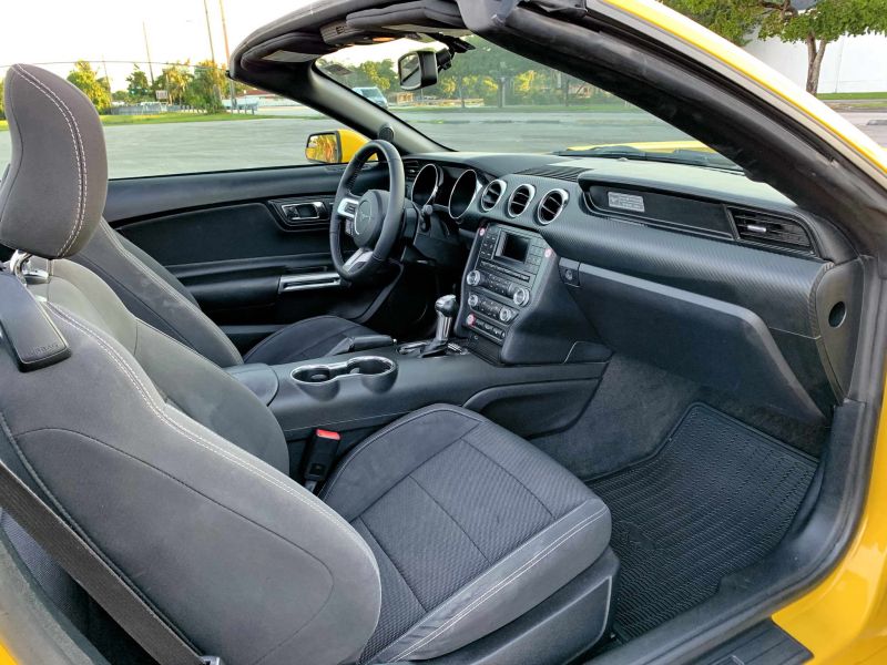 Ford Mustang pic #1262