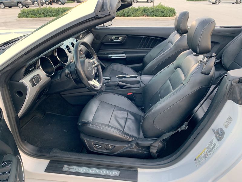 Ford Mustang pic #2022