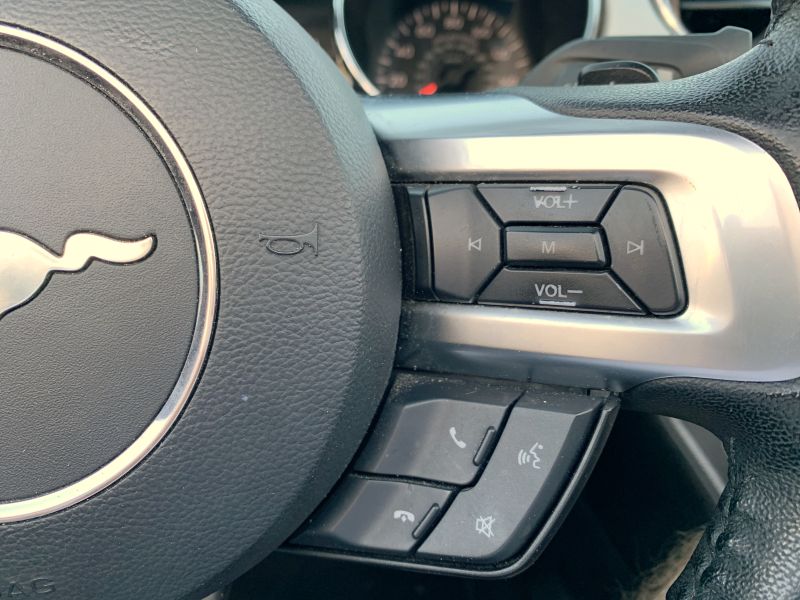 Ford Mustang pic #2030