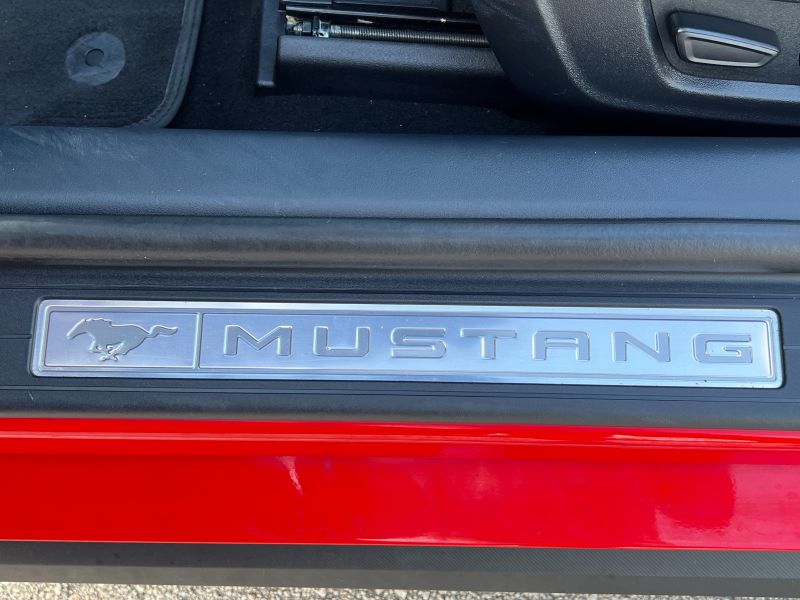 Ford Mustang pic #3204