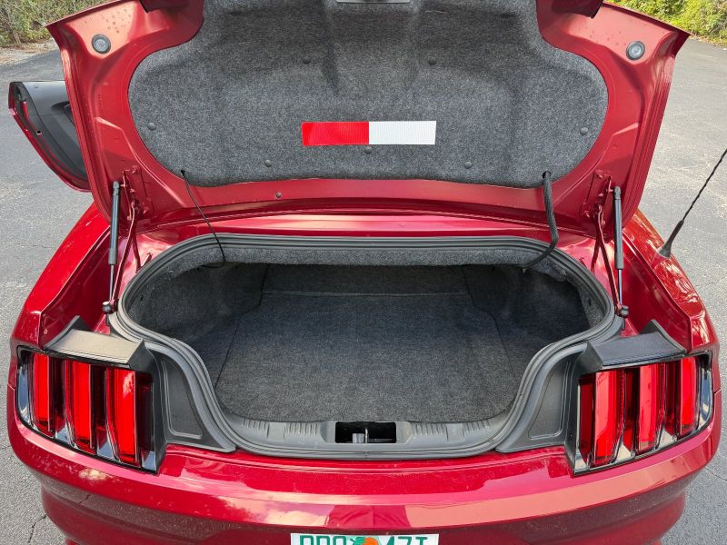 Ford Mustang for hire