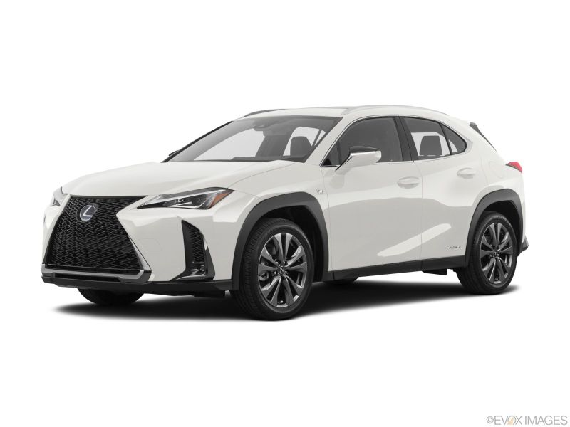 Lexus UX250h F Sport Hybrid long-term rental in Miami, Florida